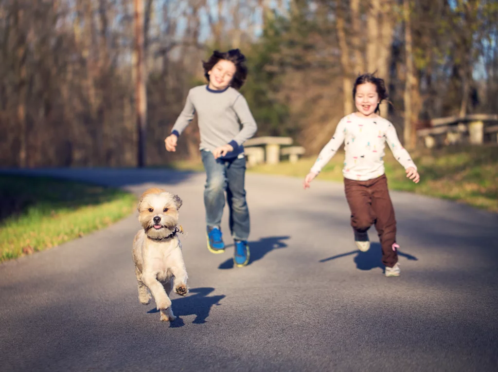 kids running with pet